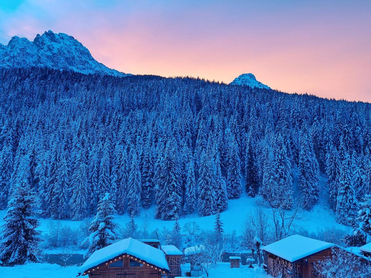 A Ceda Toa Bed and breakfast San Pietro di Cadore